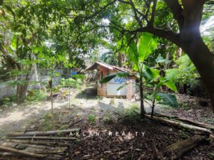 storageemulated0androiddatacom.miui.gallerycachesecurityshareimg 20250915 214907