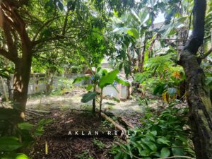 storageemulated0androiddatacom.miui.gallerycachesecurityshareimg 20250915 214939