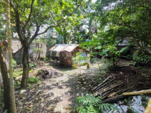 storageemulated0androiddatacom.miui.gallerycachesecurityshareimg 20250915 215035